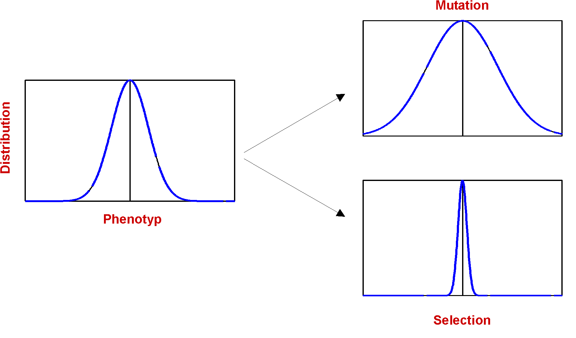 Mutation vs. Selection as Phenotype Distribution